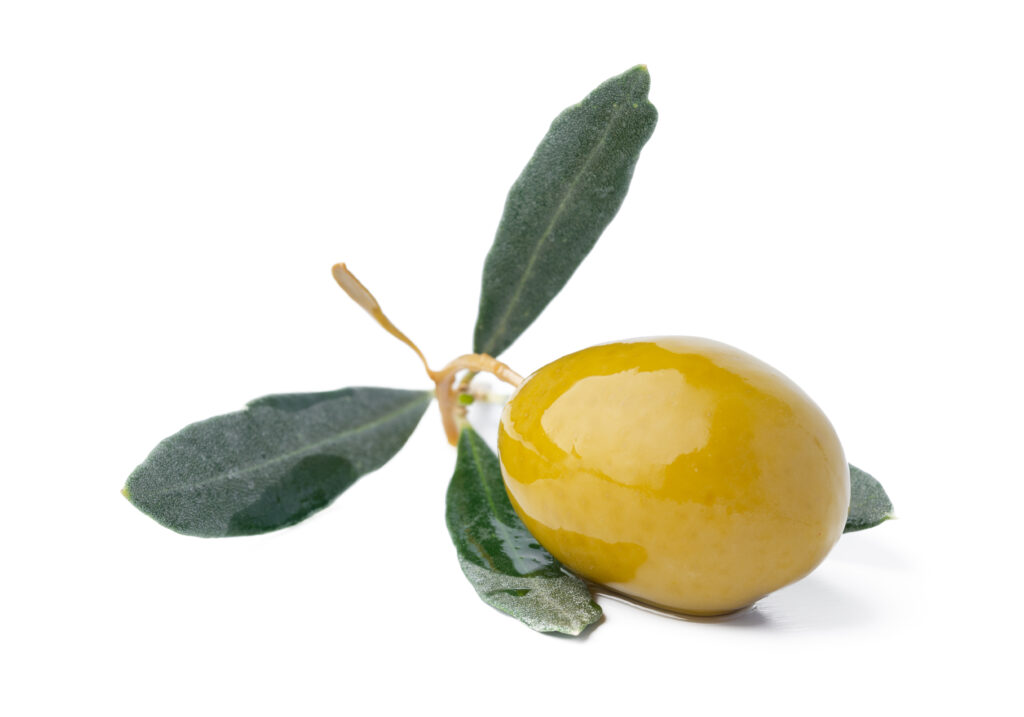 Zeytin Yaprağının Faydaları